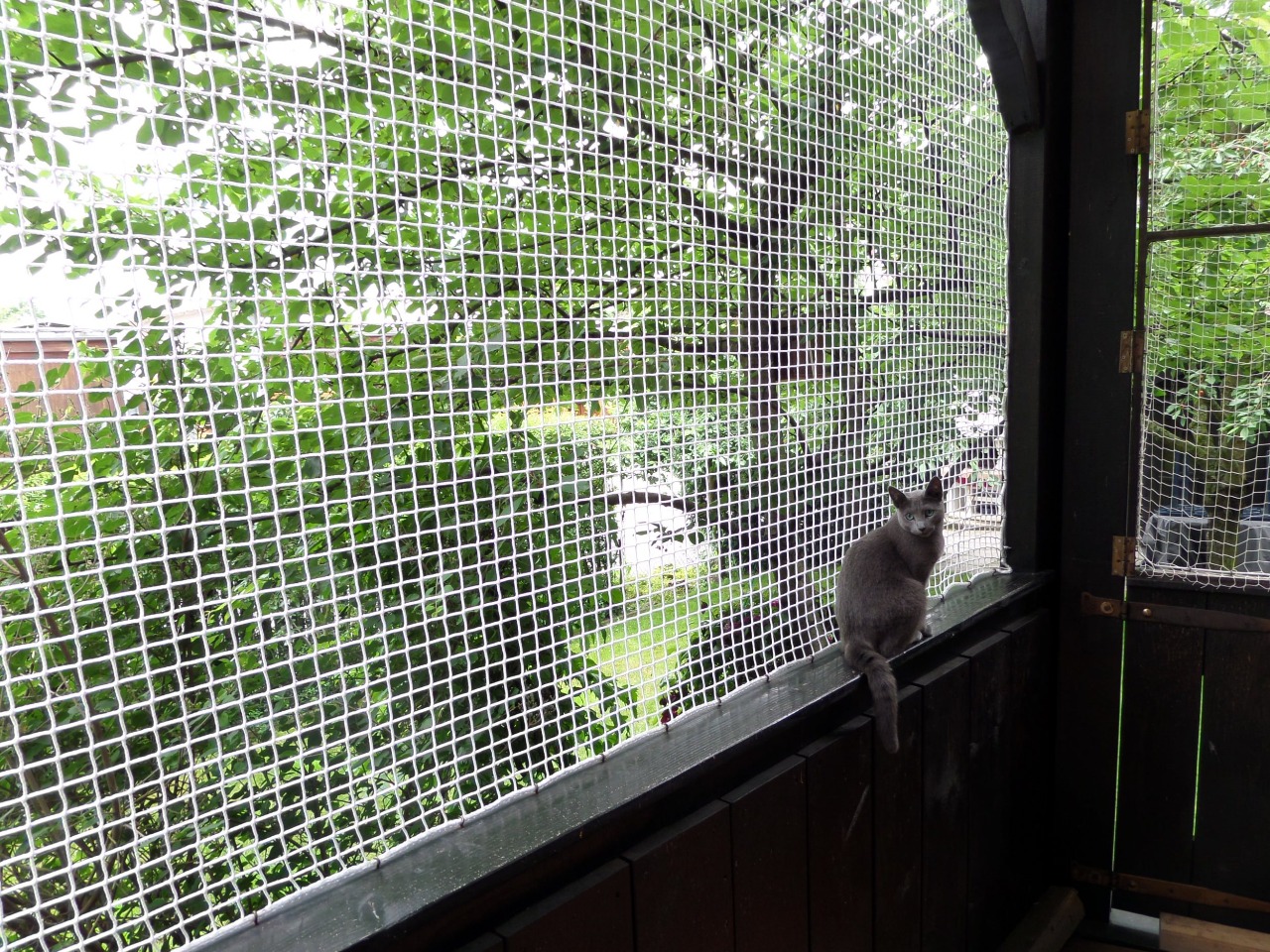Pets Safety Nets In Pune