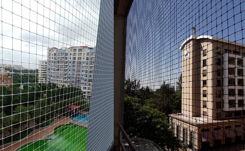 Bird Netting Service In Pune